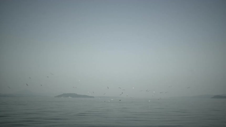 An ocean with many birds flying over the water to catch fish