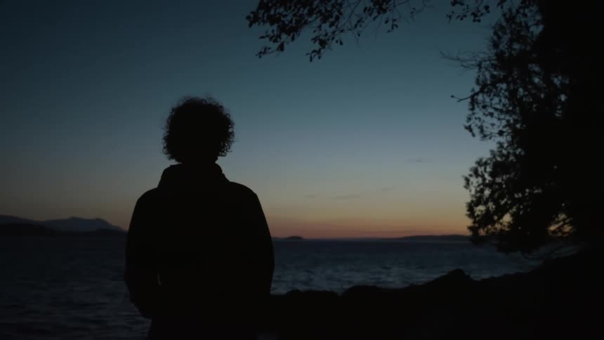 A person with fluffy hair walking by in the evening just by a tree