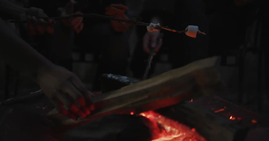 Marshmallow roasting at a campfire