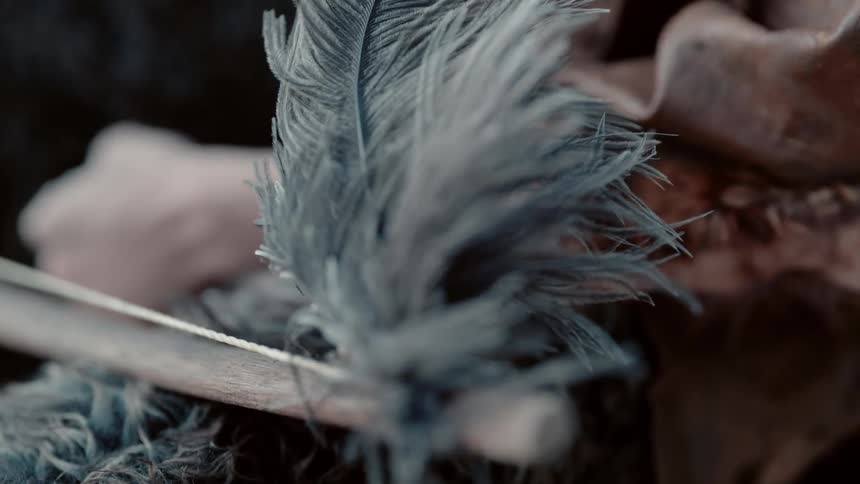 The wind blows this feather