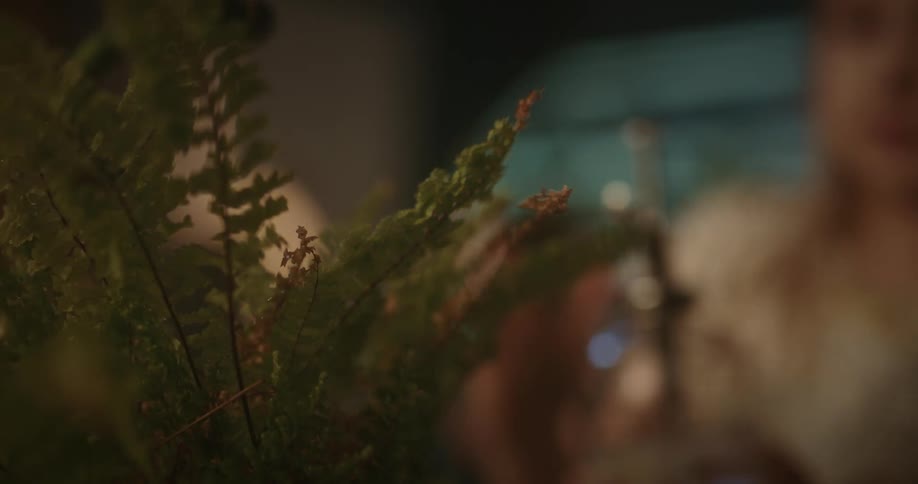Girl waters an indoors plant with a spray bottle