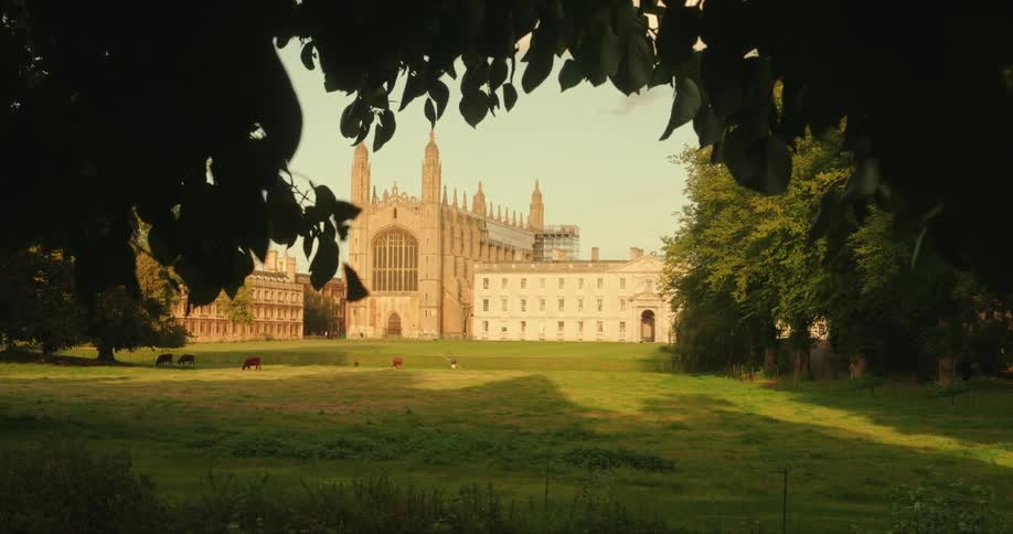 A castle with tall towers of ancient architecture with animals grazing in the field