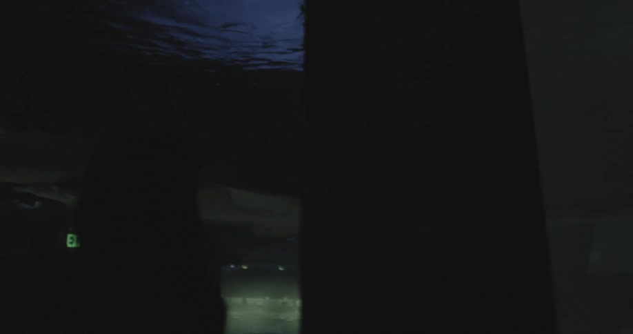 Woman silhouetted against aquarium glass watches shark swim