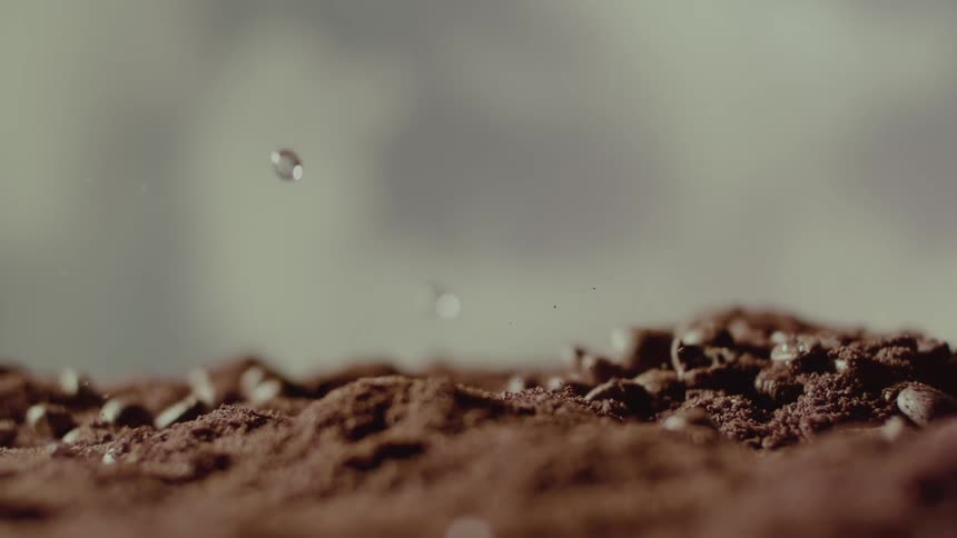 Water droplets on ground coffee or soil