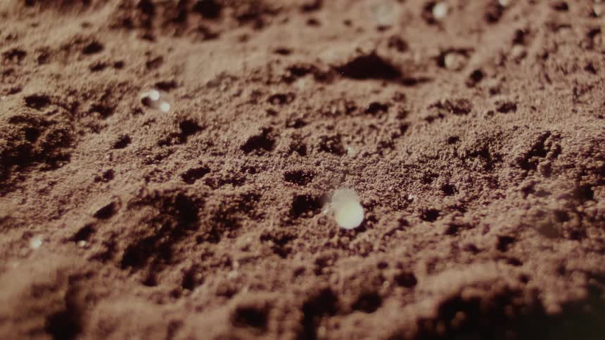 Rain slowly falls on the soil
