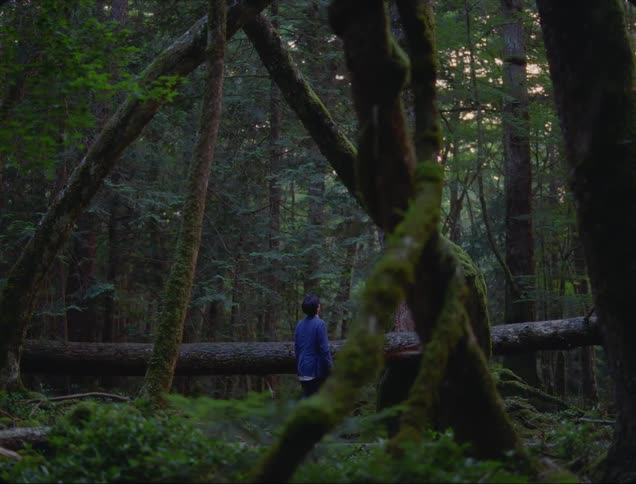 A man is in the middle of a dense forest and observes the sky and also behind him