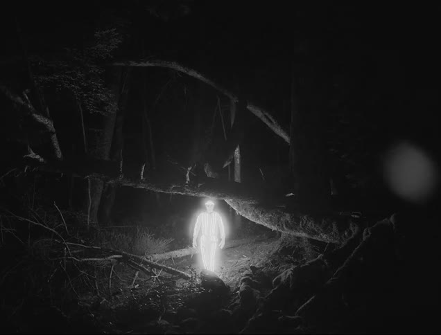 A luminous glowing man is walking in the woods around fallen trees