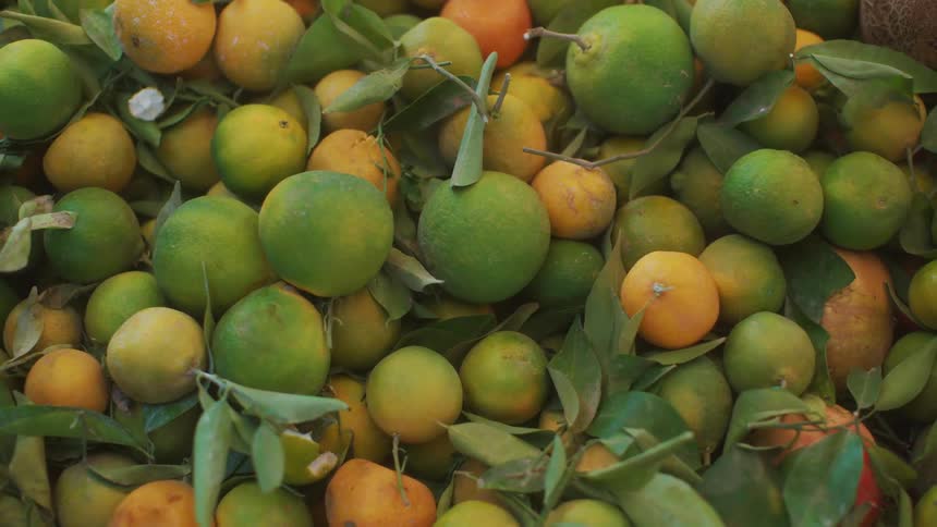 Several green fruits and some oranges and some leaves in between