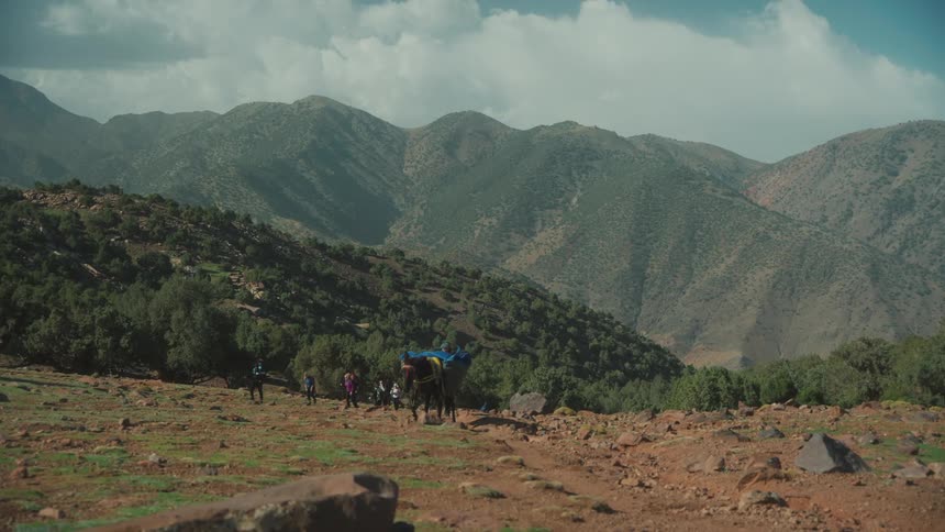 People walking on mountain terrain with the assistance of an animal
