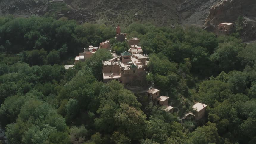 A small village of houses in the middle of a forest