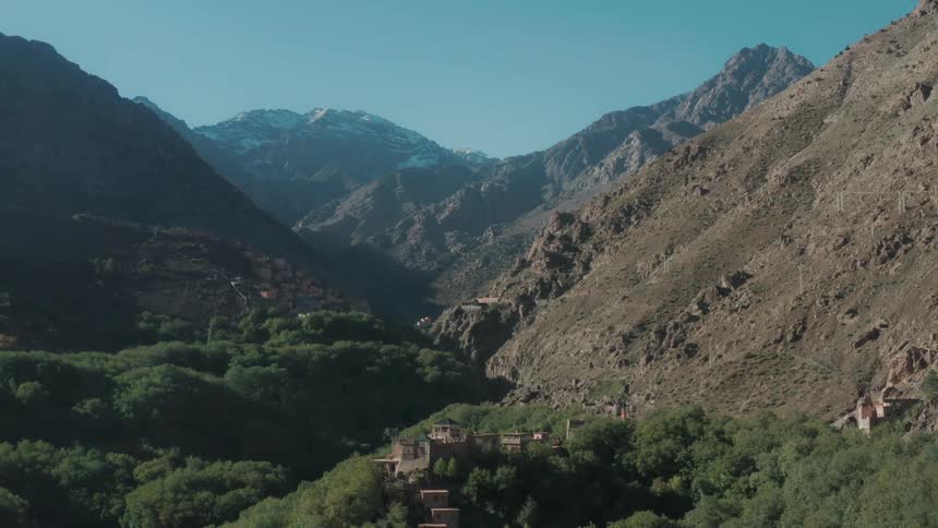 Mountains and trees on a sunny day