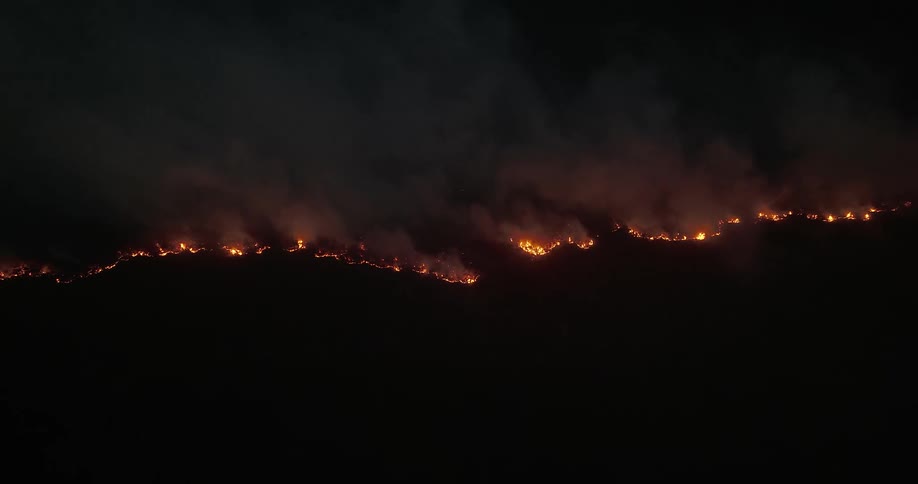 A fire is burning in a vegetated region on a dark day