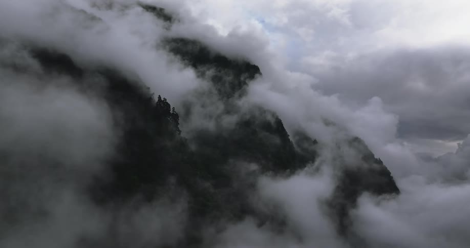 Aerial of a forest covered by fog during the daytime