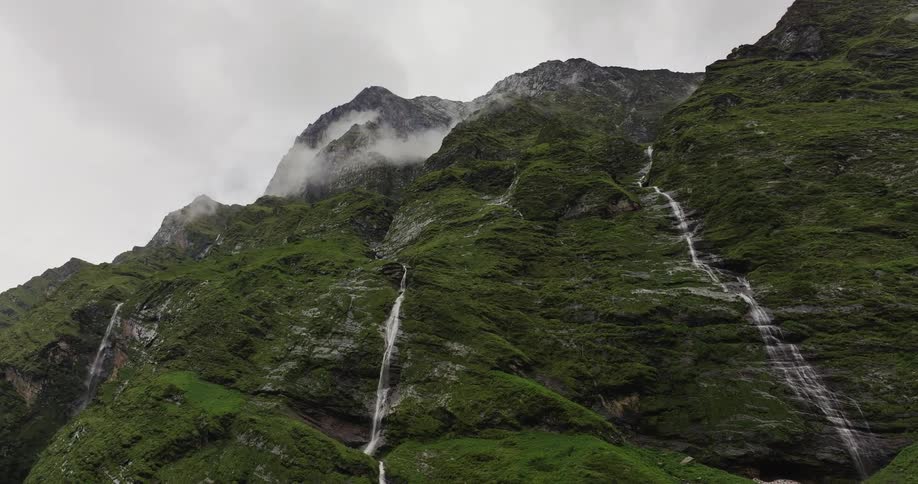 A mountain covered in moss is shown from the bottom up