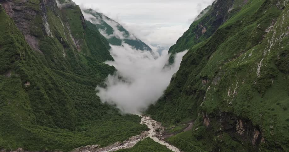 A misty mountainous forest