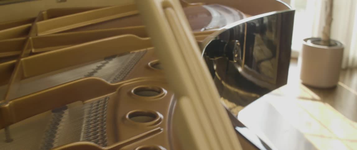 A piano has many strings inside and is reflective on the outside