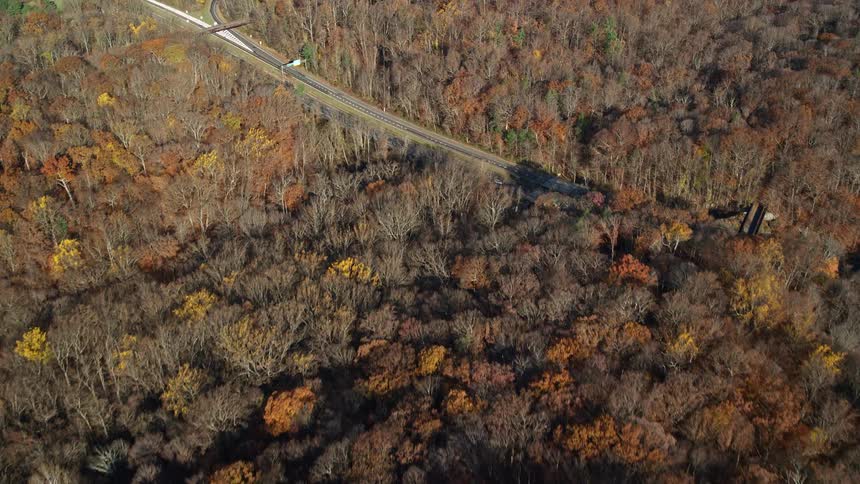 A highway surrounded by trees in a forest in autumn