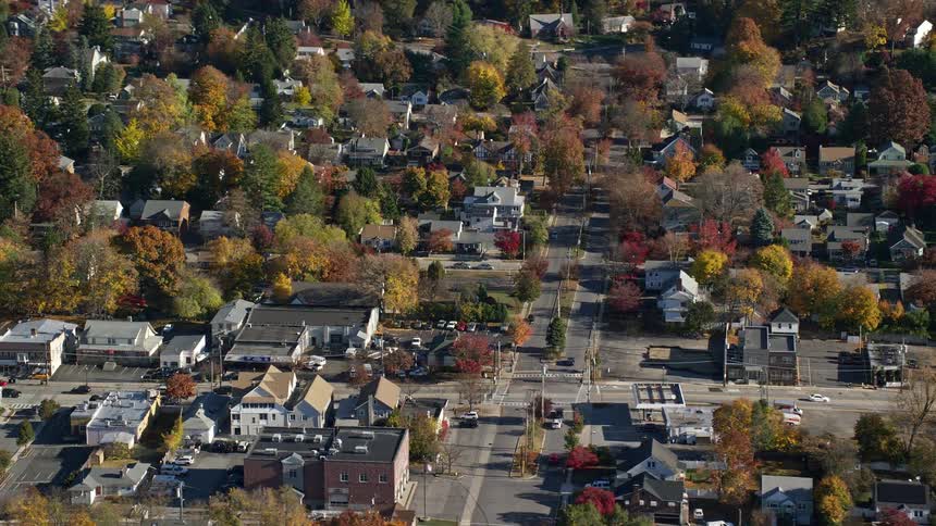 Aerial view of a residential neighborhood with extensive vegetation