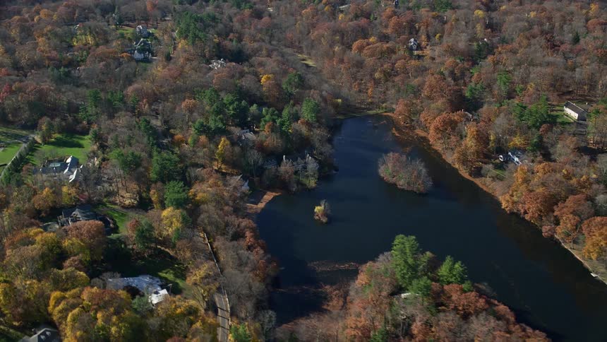 Aerial view of a lake surrounded by houses in the forest