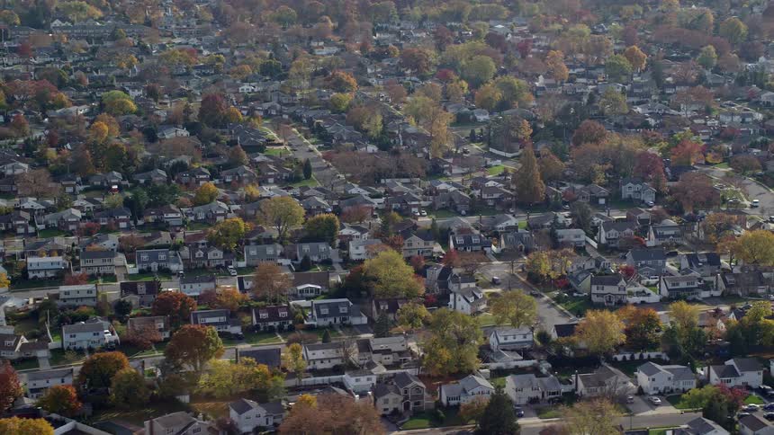 Trees and houses in a suburban area at midday
