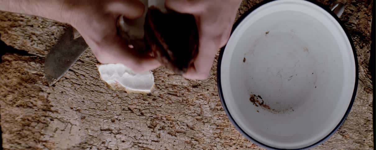 A persons hand breaking up a cocoa fruit into a plate