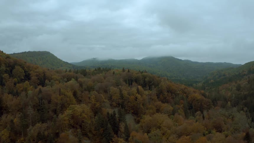 Aerial of forest and mountains during cloudy day