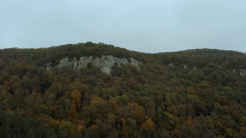 A mountain covered with trees in the forest