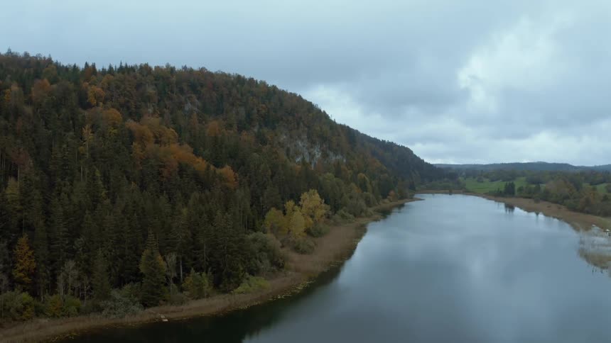 A forest by the river side