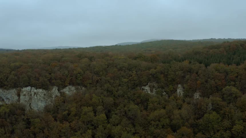 A forest on an high land with rocks