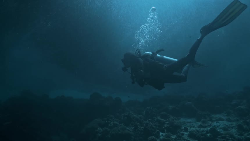 A person wearing long flippers scuba dives in the ocean
