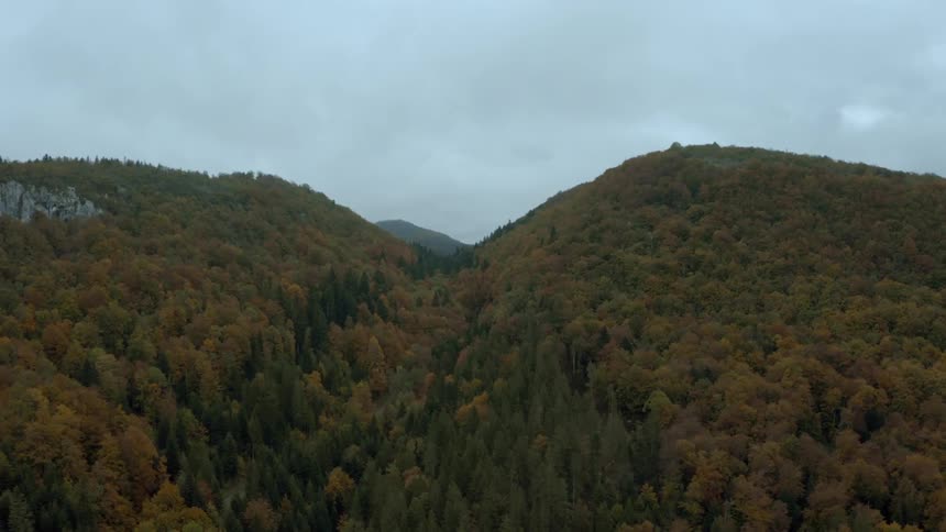 Forested mountains with trees in fall colors under a cloudy sky