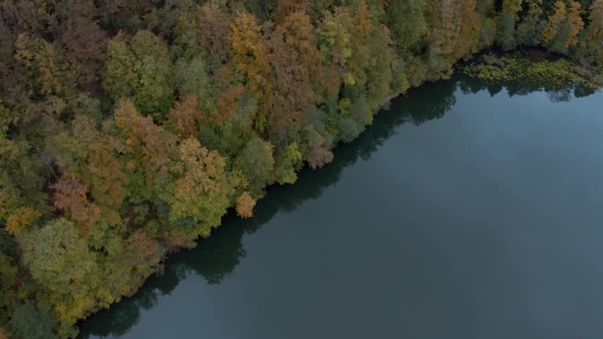 Aerial panorama of a central lake next to a forest