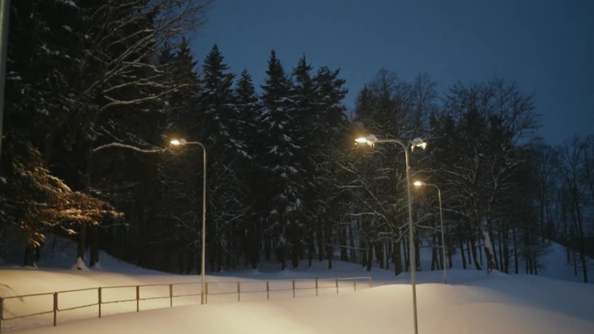 The snow is falling on the forest