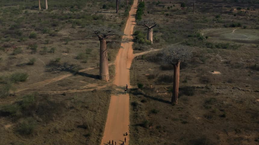 Aerial of people walking on a sandy road on a sunny day