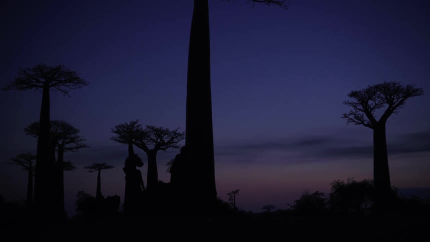 The silhouettes of two people walking can be seen against the night sky