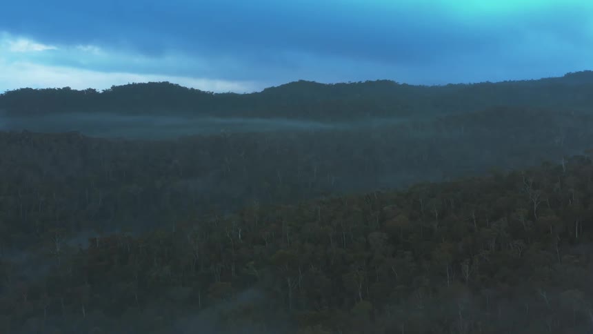 Fog covers a sprawling forest that covers hills and mountains