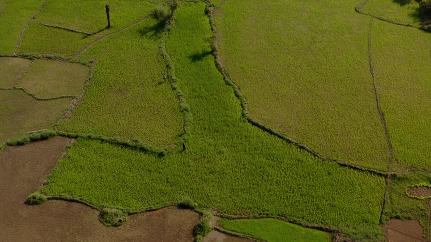 The farm land is green and full of grass