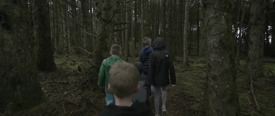 Children walk in the woods together