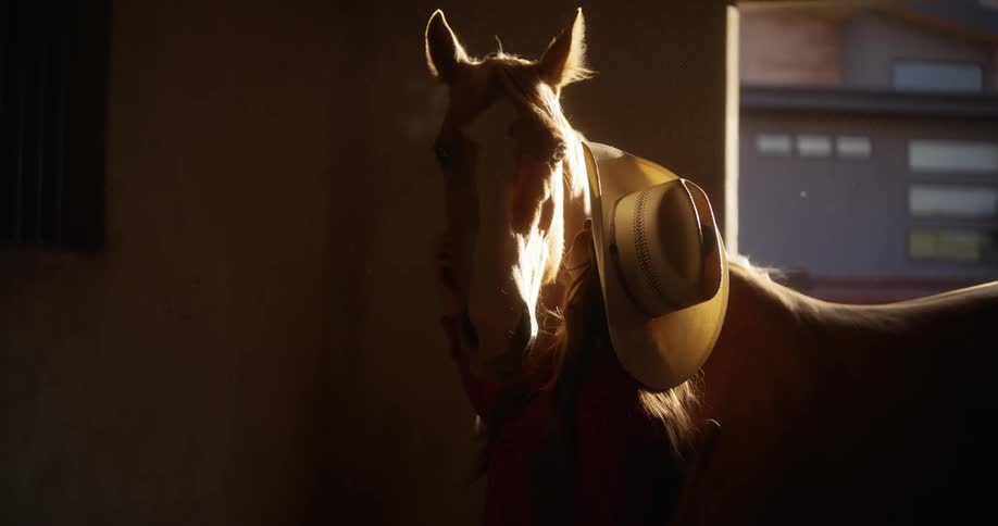 Cowgirl petting her horse inside a ranch