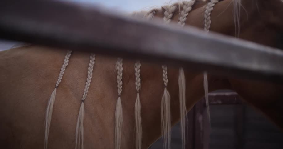 The horses mane is braided
