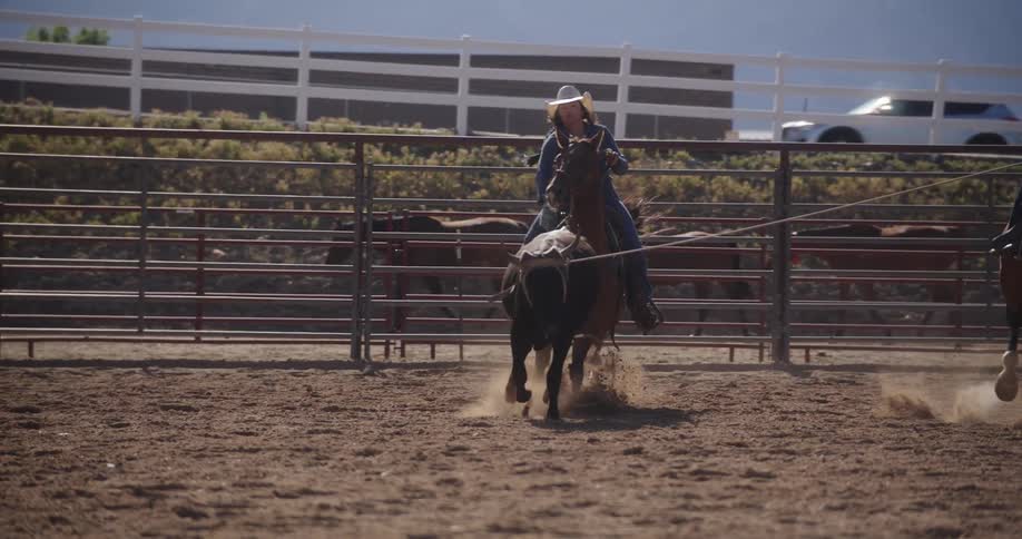 Two people wearing cowboy hat riding on separate horses while trying to catch a bull with a horse
