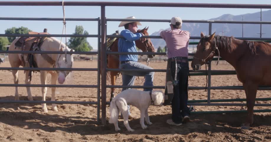 A ranch with two men riding and some horses beside them and a dog below them