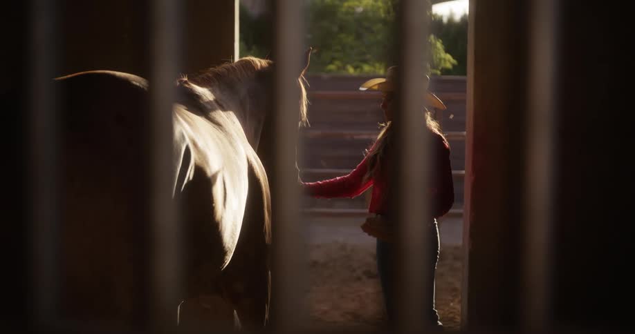 A blonde girl with cowboy hat is petting a horse and a sunlight is brightning on it