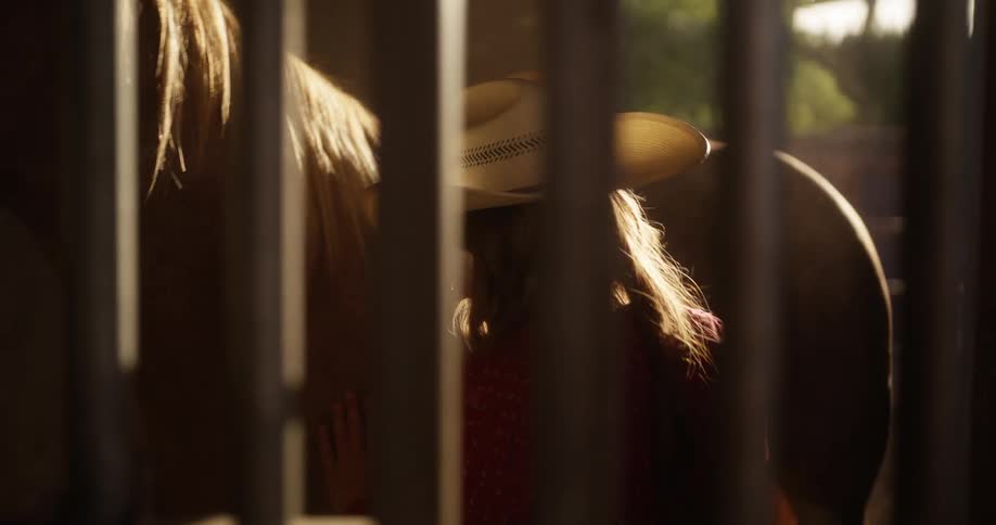 A woman brushing a horses mane