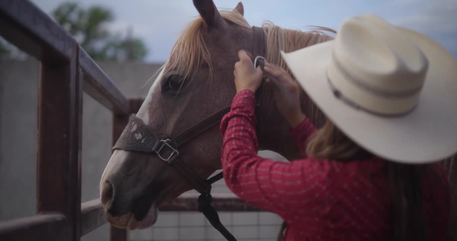 Woman grooming her horse and putting on reins