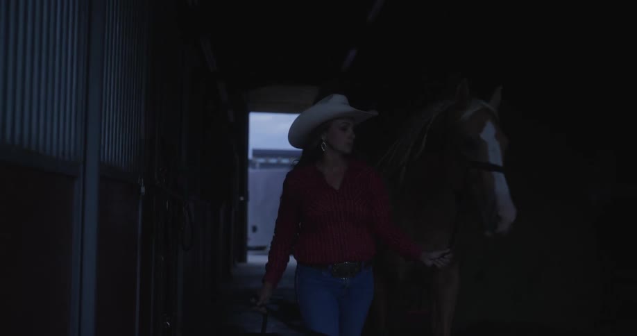 A woman wearing a hat walking a horse to a van