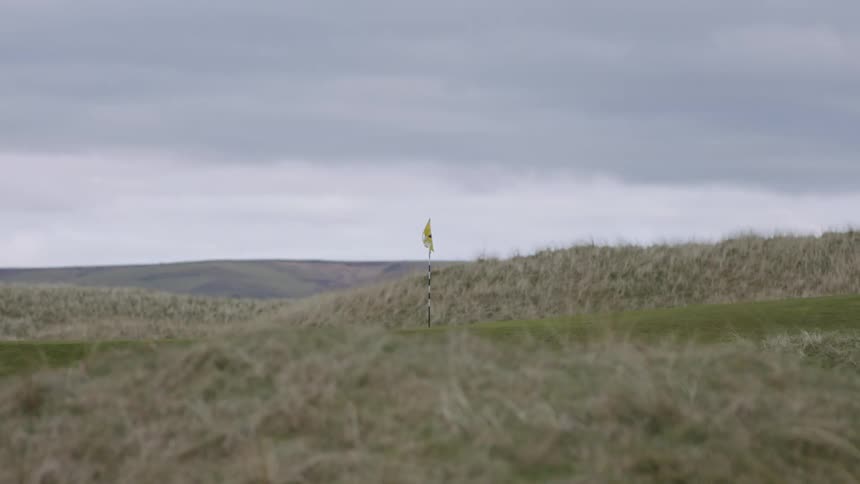 A flag in a meadow during a cloudy day