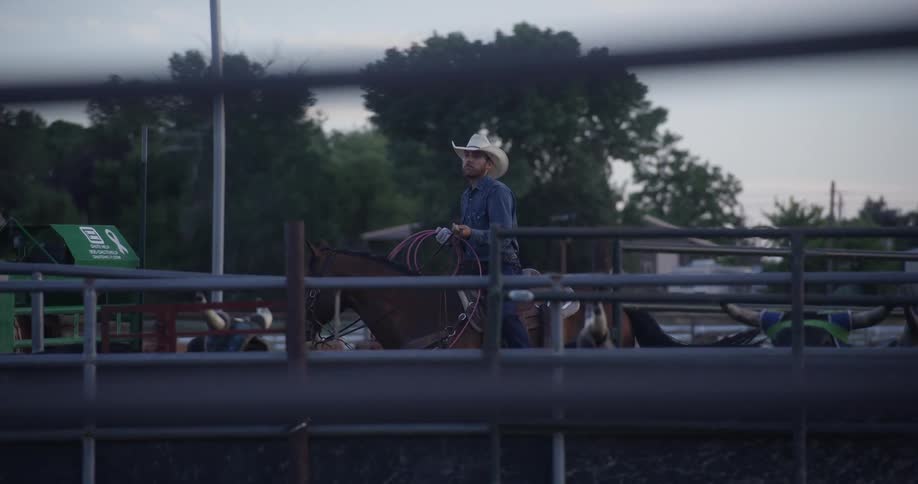 A man is holding a lasso on a horse