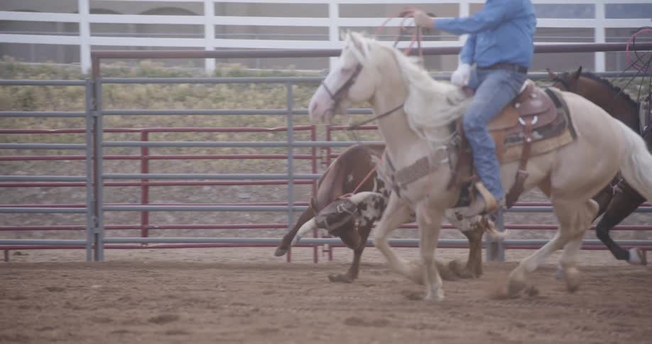 Two men on horseback attempting to rope a bull in a rodeo sand arena