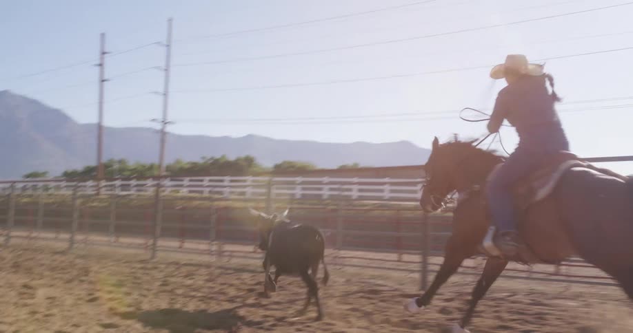 A cowboy on a horse chasing a cattle